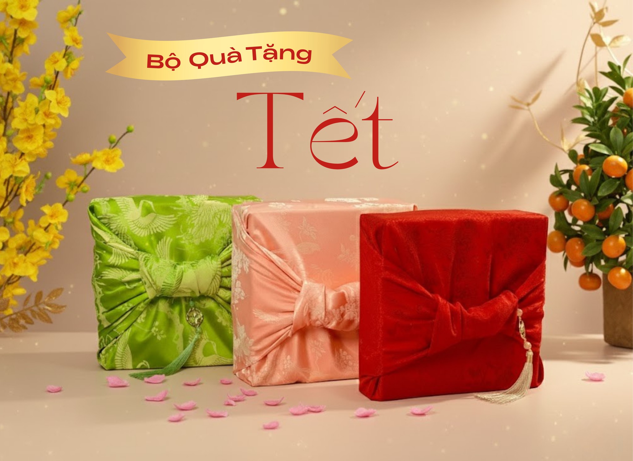 yến sào, Yến mặt trời, Yến Mặt Trời, Set quà Tết,
